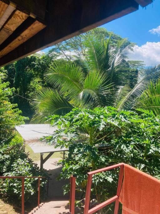 Ohana Location Ravissant Appart Spacieux Parking Gratuit A Uturoa Appartement Buitenkant foto