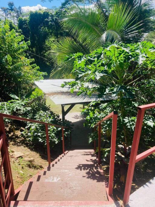 Ohana Location Ravissant Appart Spacieux Parking Gratuit A Uturoa Appartement Buitenkant foto